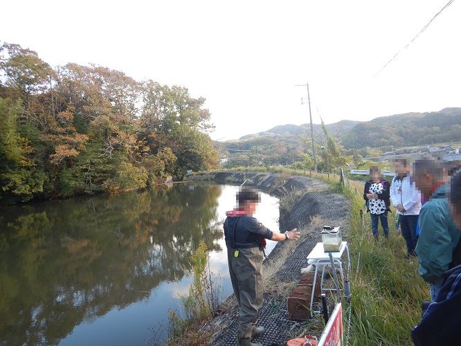 ため池の生きもの