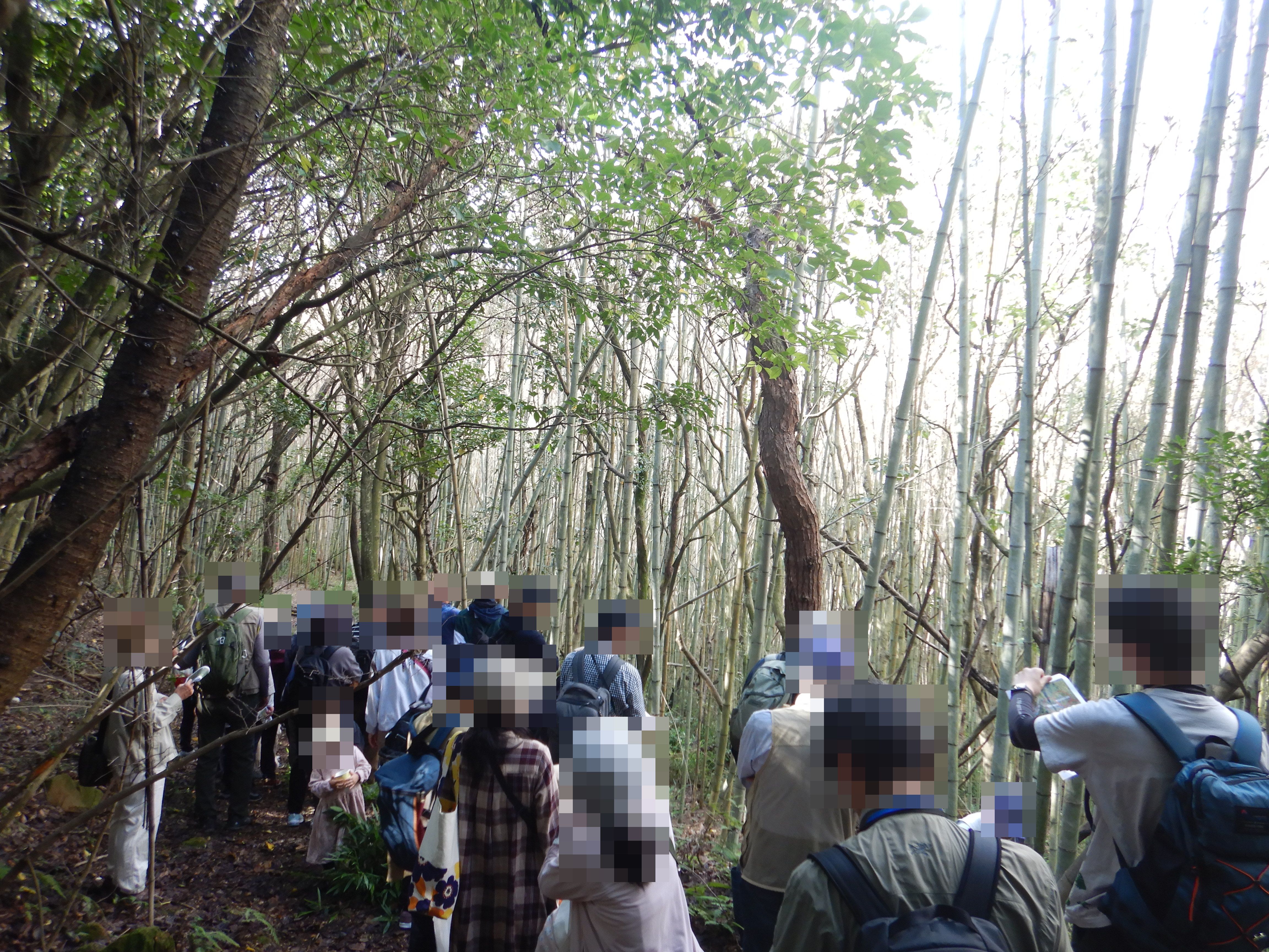 ネイチャーツアー里山編_当日の様子1